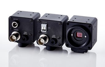STC-S133P-BJ / BT Colour 1/3.2 0.65MP CMOS CVBS PAL Video Camera - CISopto